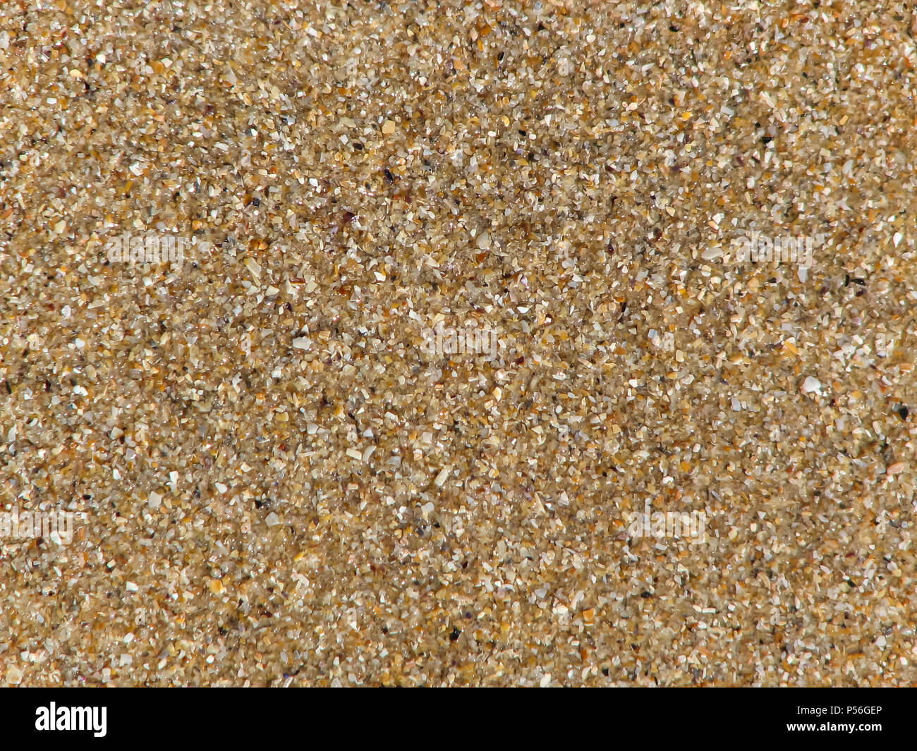 Texture of small pieces of colorful seashells and little multi-colored pebbles on sea or ocean coast Stock Photo