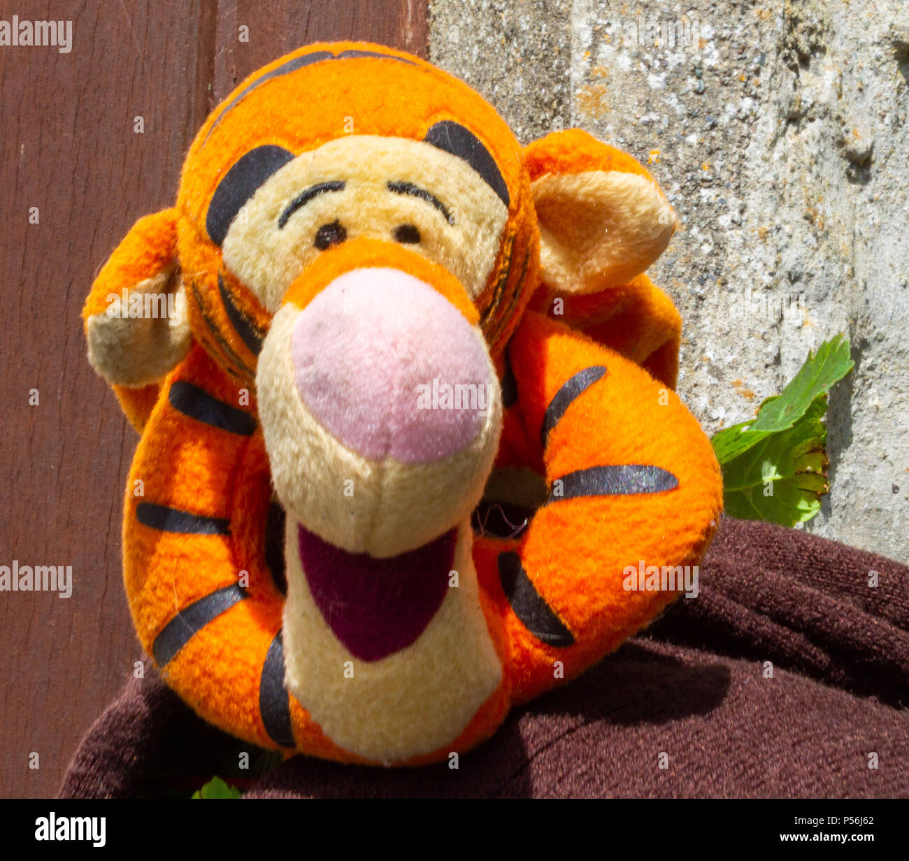 tigger the tiger character from winnie the poo books. Stock Photo
