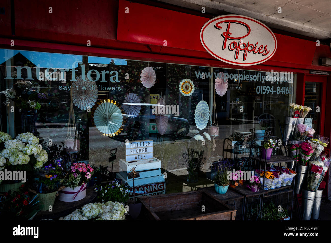 Advertising British Flower Week. Poppies florist, Lydney