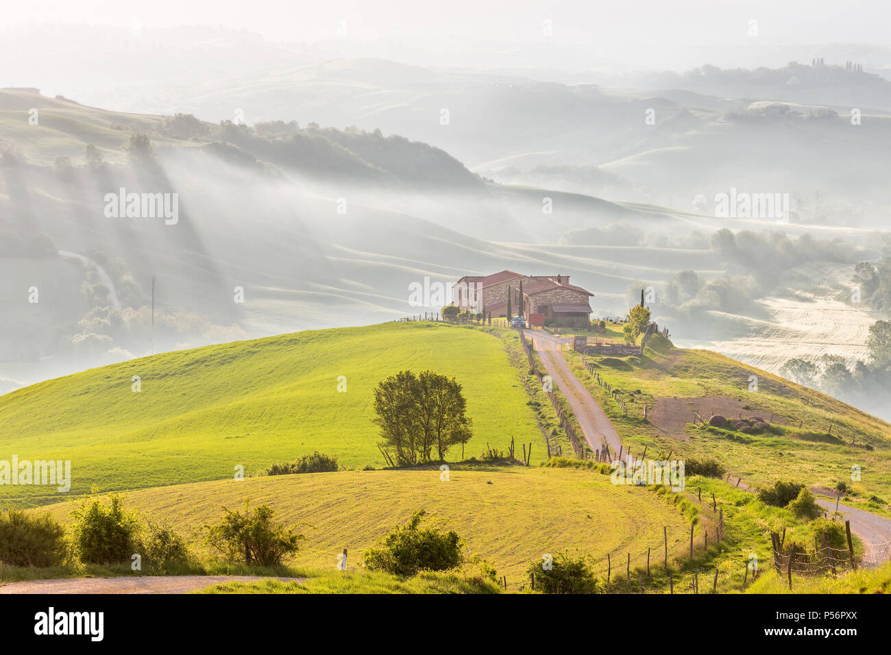 House on a hill in a hilly rural Tuscan landscape with morning mists in ...