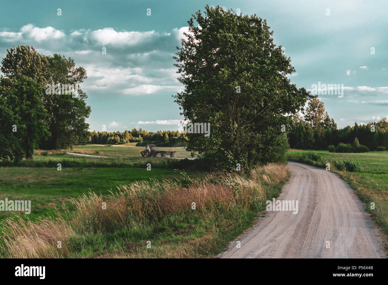 Grassland and road hi-res stock photography and images - Alamy