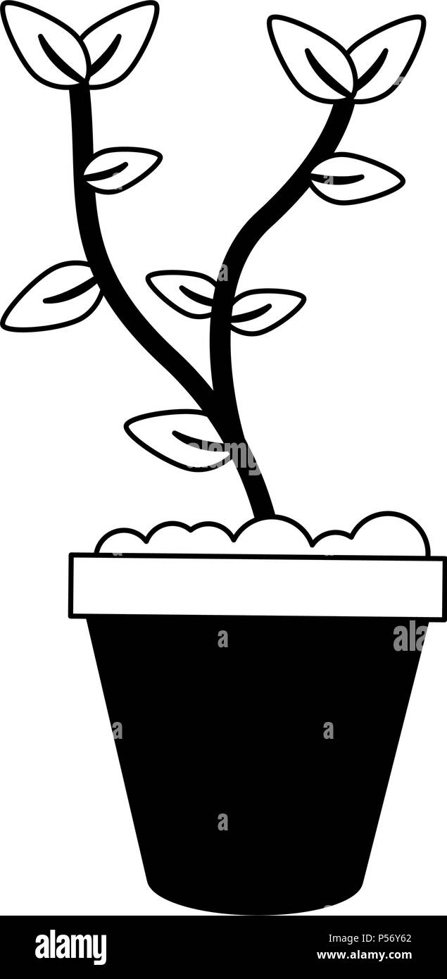 Plant in pot in black and white Stock Vector Image & Art - Alamy