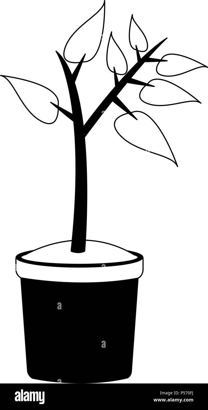 Plant in pot in black and white Stock Vector Image & Art - Alamy