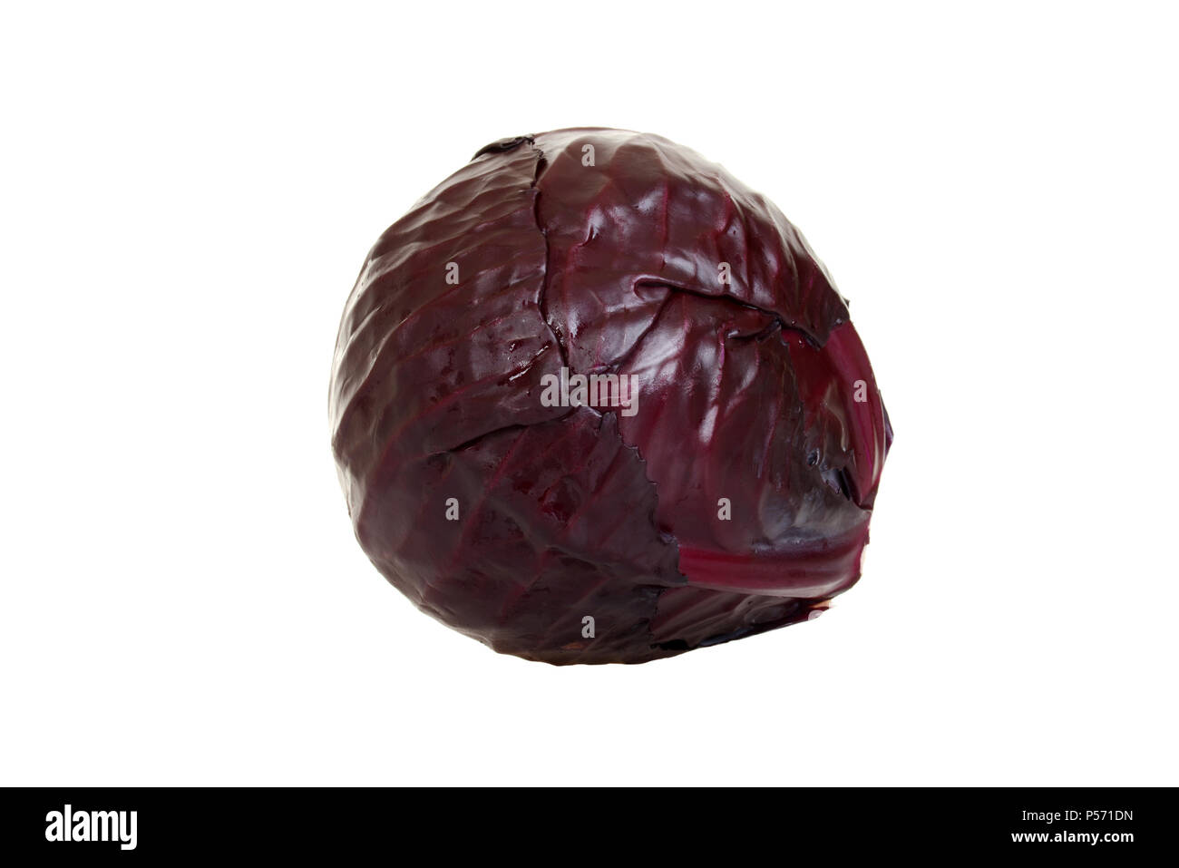 Isolated red cabbage Stock Photo
