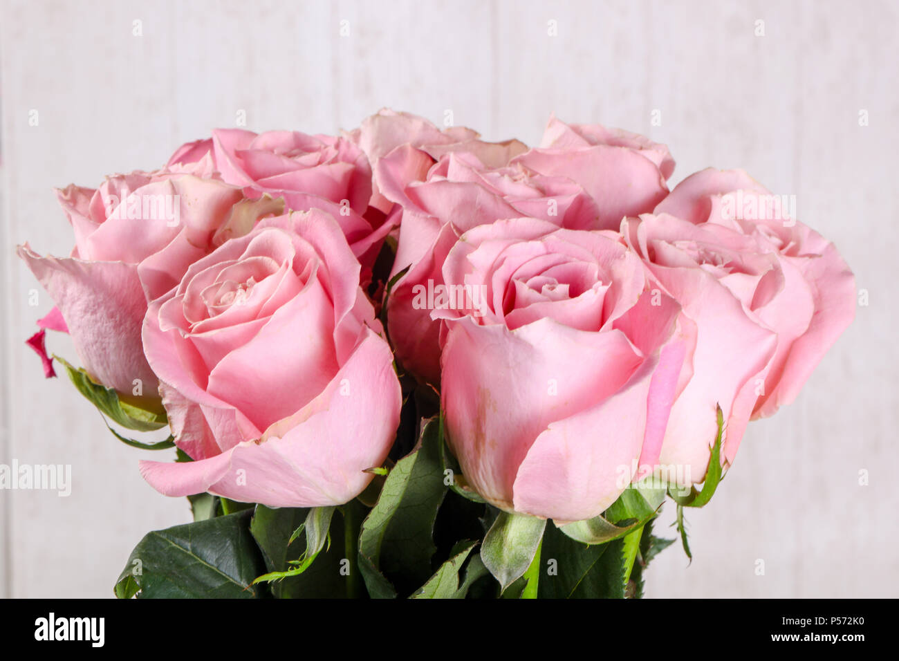 Pink roses bouquet isolated on white background Stock Photo - Alamy