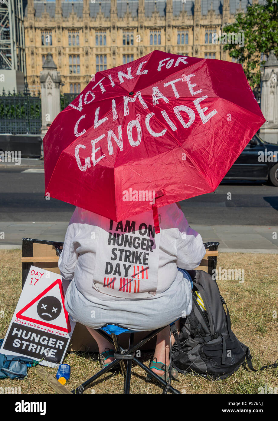 London, UK. 25th Jun, 2018. A hunger striker makes her point about teh runway and the climate 'catastrophe' in general, especially its impact on the poorest parts of the globe - As parliament debates the Third Runway at Heathrow, protestors lobby inside and protest outside. Credit: Guy Bell/Alamy Live News Stock Photo