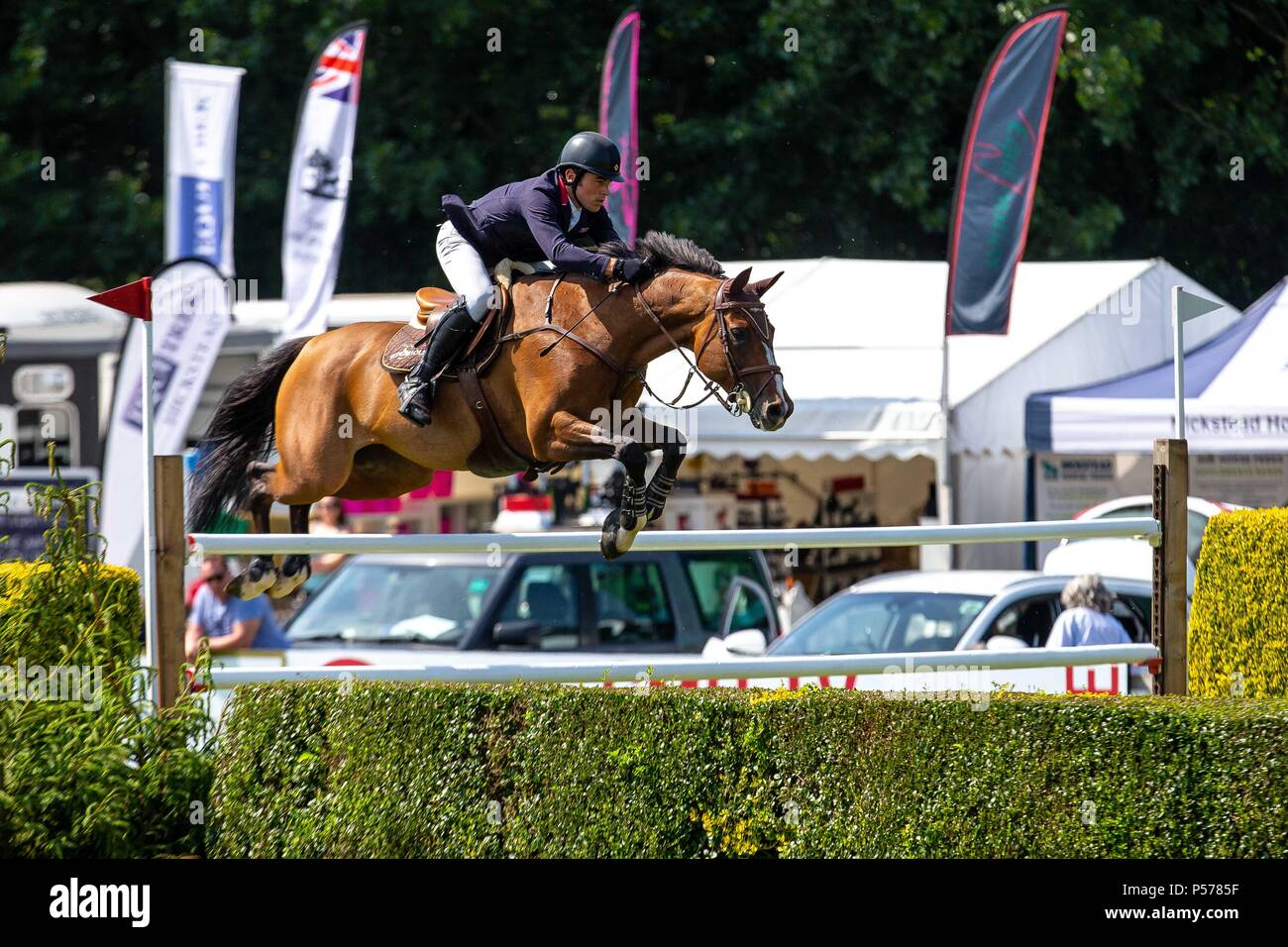 West Sussex, UK. 24th Jun, 2018. Joe Whitaker riding  Virginia. GBR.The Al Shira'aa Derby. The Al Shira'aa Hickstead Derby Meeting. Showjumping. The All England Jumping Course. Hickstead. West Sussex. UK. Day 5. 24/06/2018. Credit: Sport In Pictures/Alamy Live News Stock Photo
