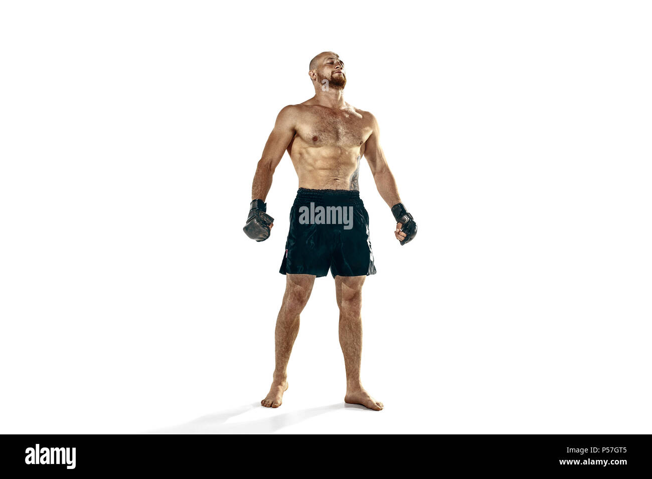 professional boxer boxing isolated on white studio background Stock ...