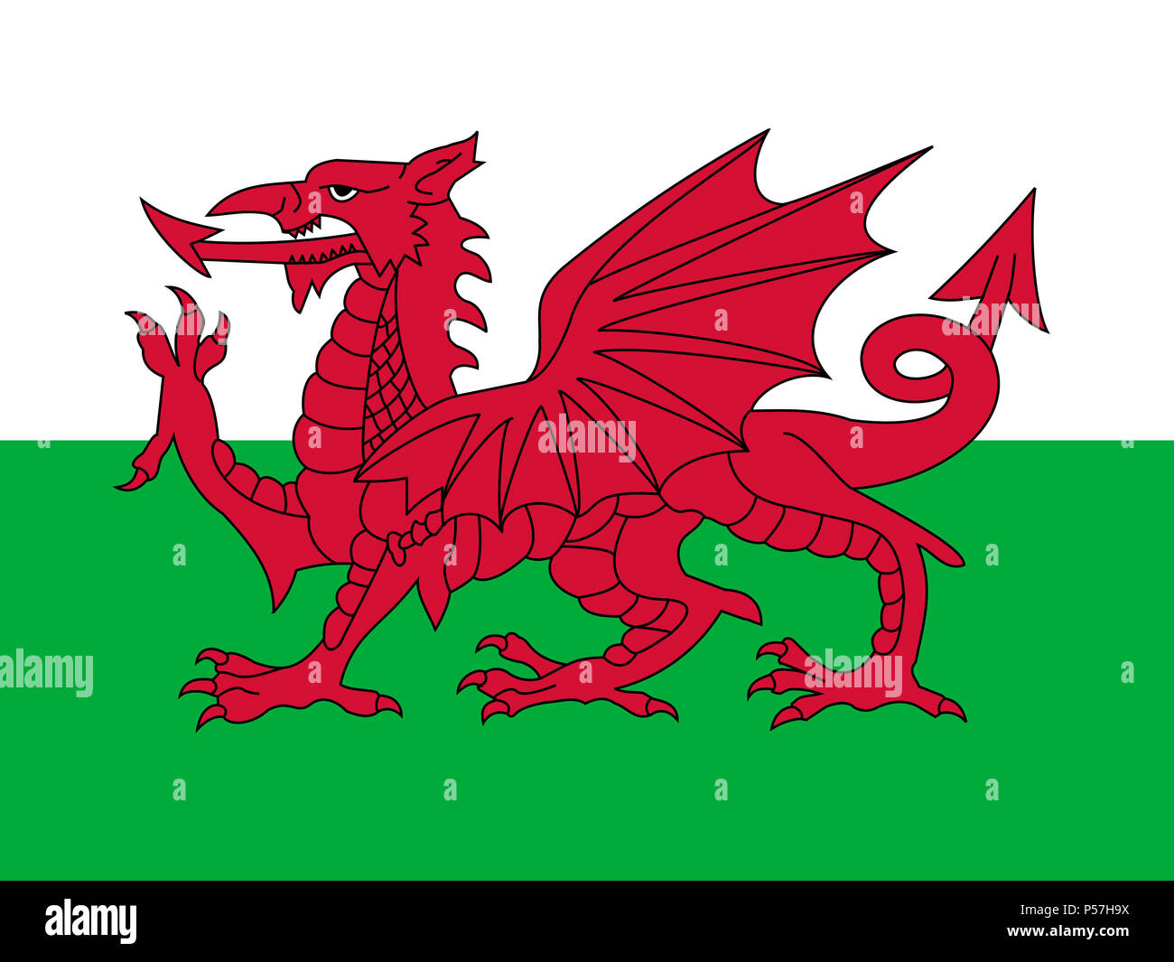 Official national flag of Wales Stock Photo