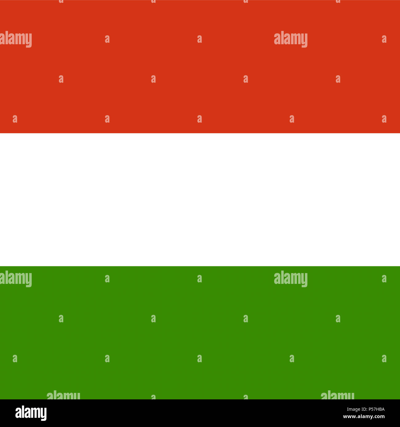 Official national flag of Hungary Stock Photo