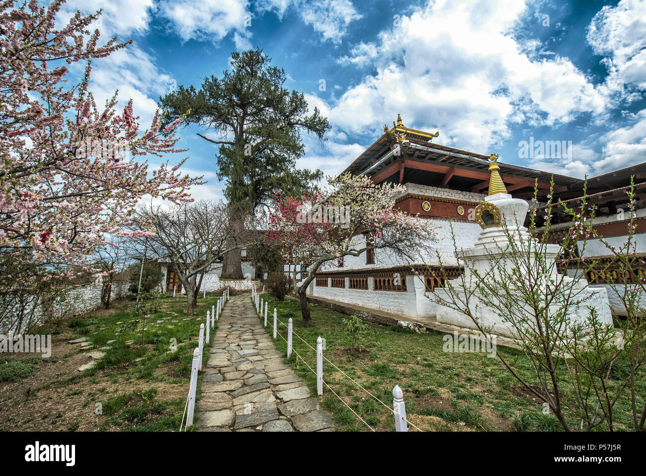 Buddhist temple Kyichu Lhakhang in spring, Paro, Paro district ...