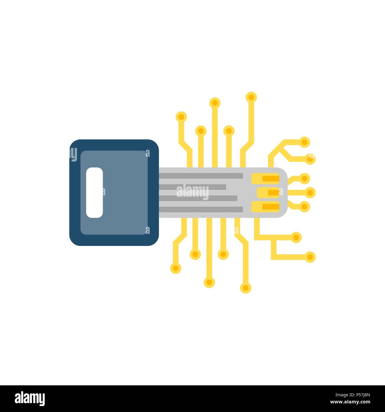 Digital Key Concept, Microchip Flat Vector Icon. Isolated on White ...