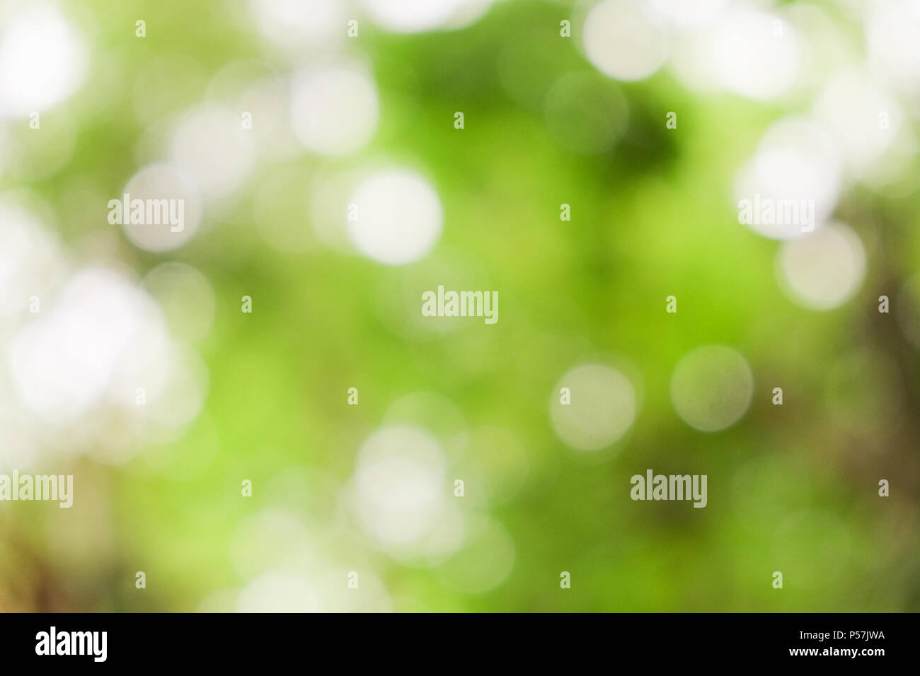 abstract green bokeh Nature background Stock Photo - Alamy