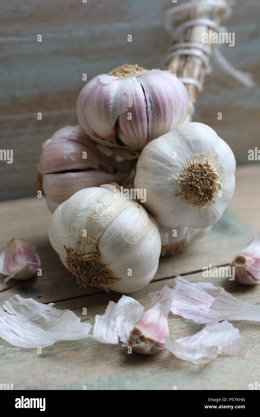 Suspended garlic hi-res stock photography and images - Alamy