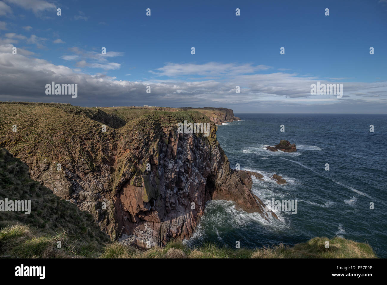 Cliff Top View looking north at the Buller of Buchan, Scotland, UK ...