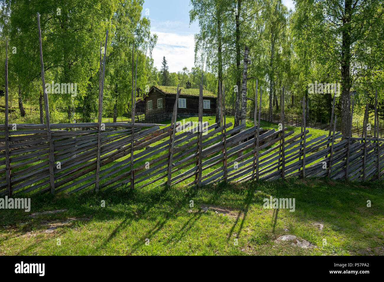 Simple fence construction made from available materials, Norway. Stock Photo