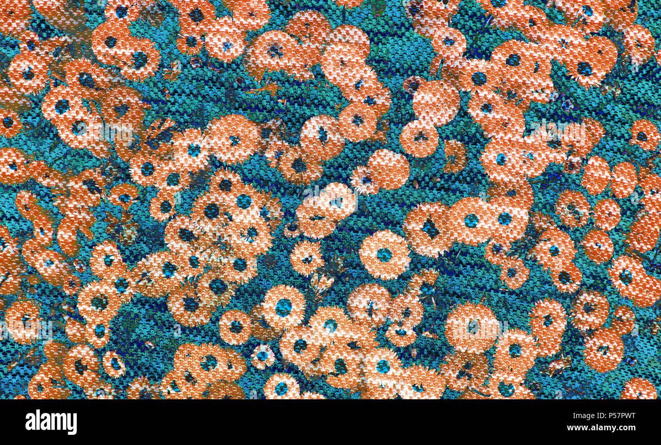 Digital Background Art Of Romantic Floral Flower Pattern - 