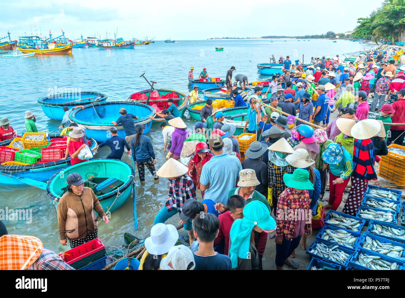Commercial fish crop hi-res stock photography and images - Alamy