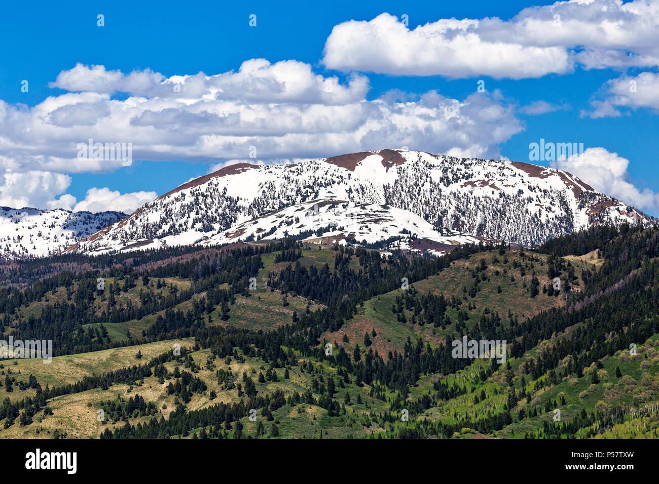 Snow capped mountains of the Salt River Range in Bridger Teton National Forest from Salt River Pass, Wyoming, USA Stock Photo