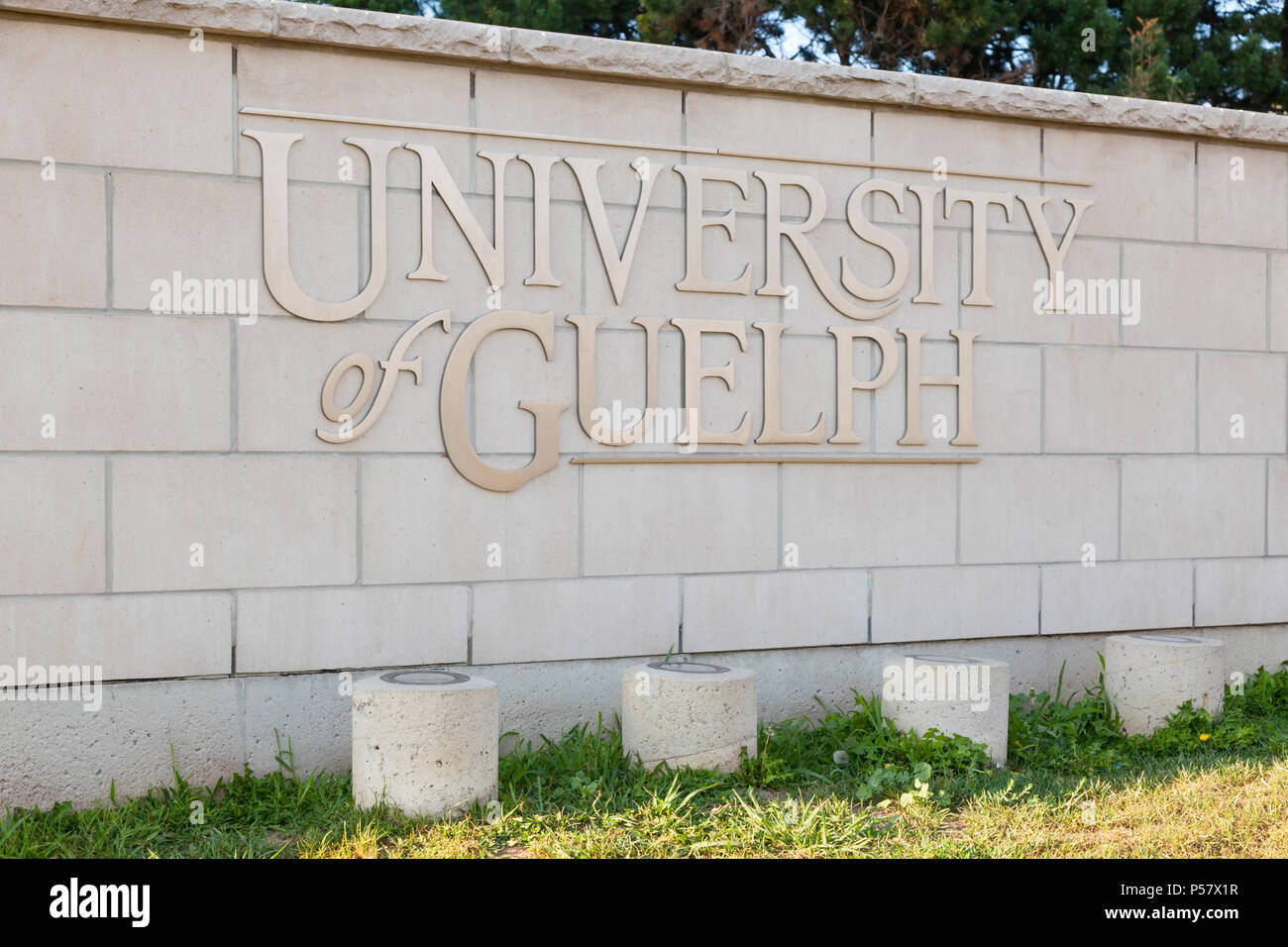 University of guelph sign hires stock photography and images Alamy