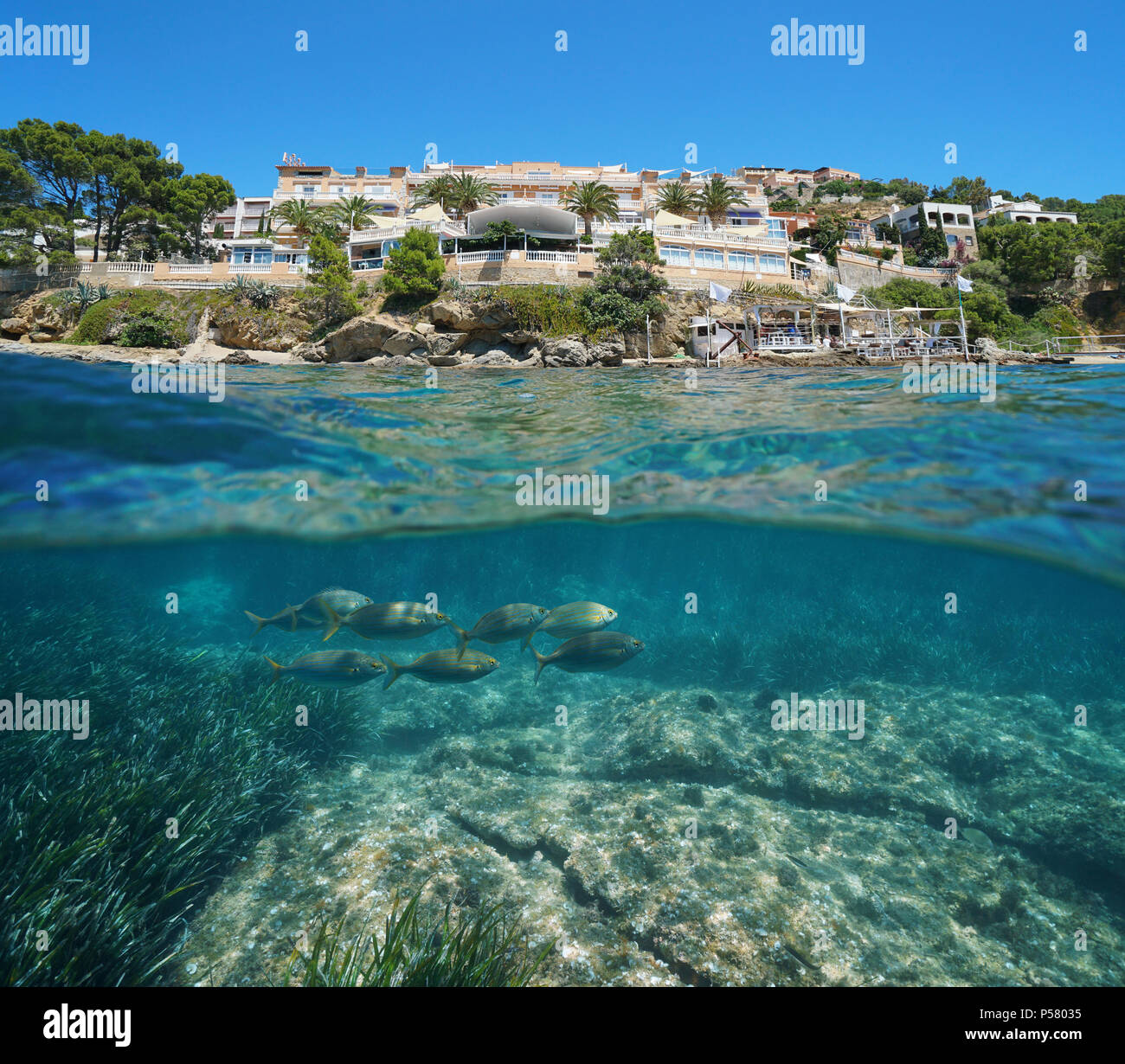 Spain Costa Brava hotel on the waterfront with fish underwater, split view above and below water surface, Mediterranean sea, Roses, Catalonia, Girona Stock Photo