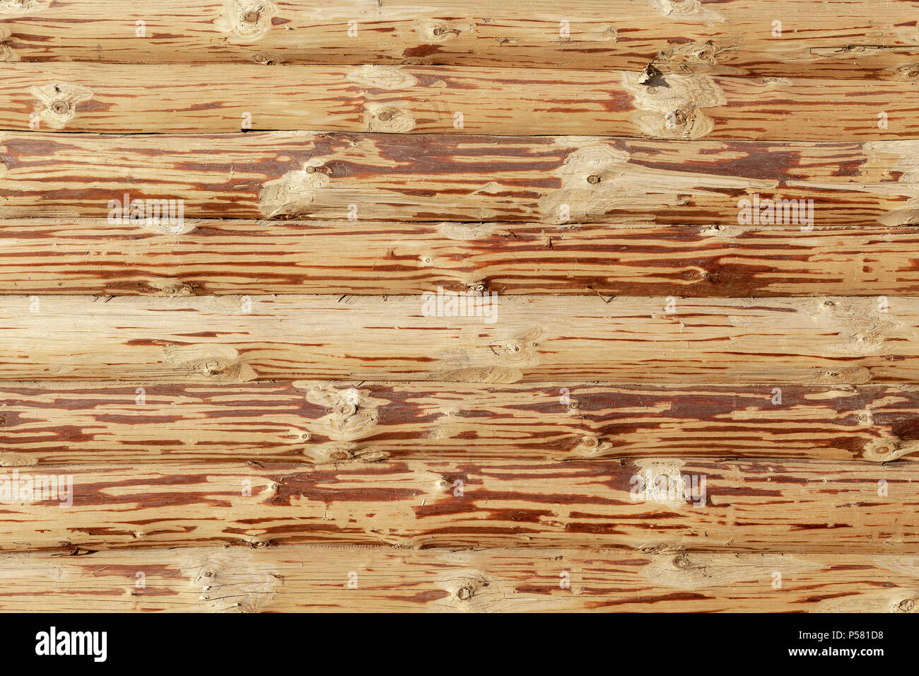 Wall Of A Log House Fresh Otosanye Logs Log Cabin Stock Photo