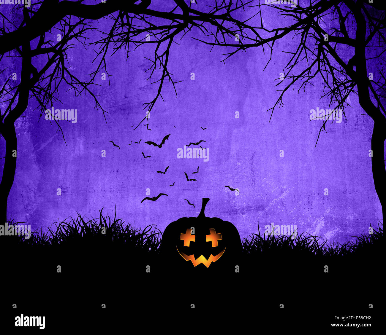 Halloween background with pumpkin on purple background with bats Stock Photo