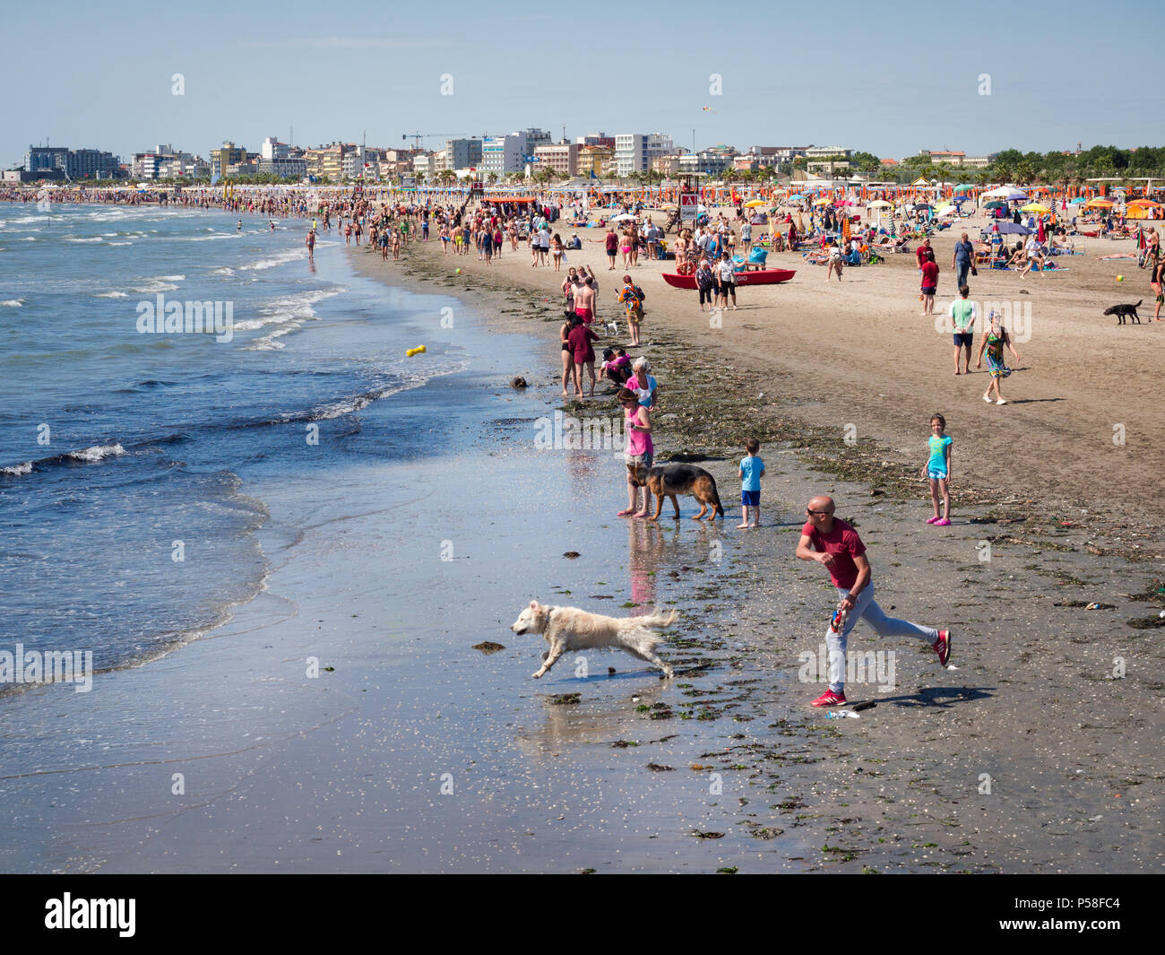 Sottomarina, Italy - June 23, 2018: Man throws plastic bone into the sea and his dog runs to catch it. Stock Photo