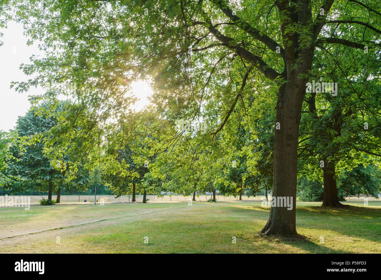 Afternoon view of a scene in the Hyde Park, London, United Kingdom ...