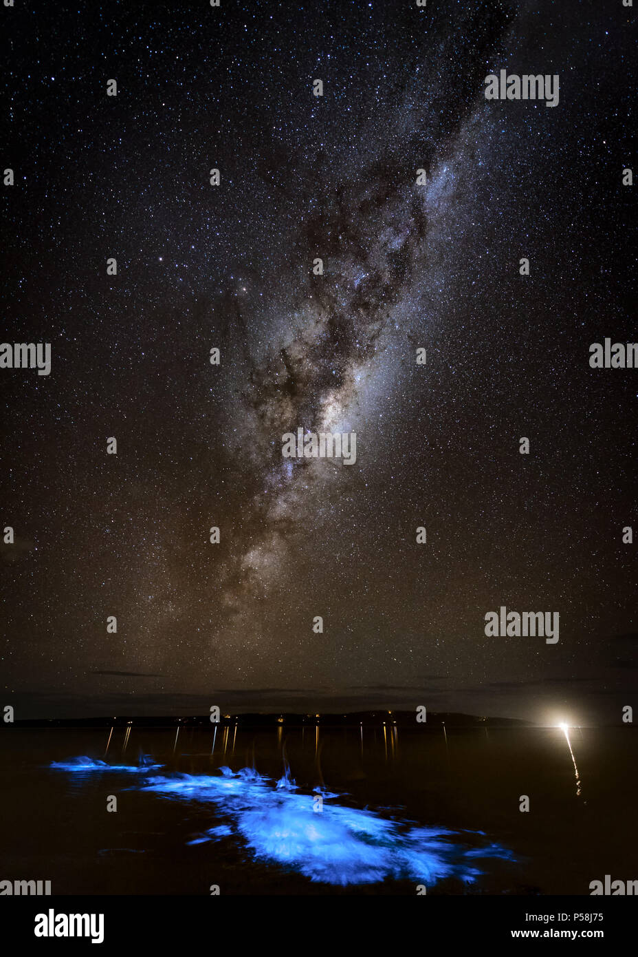 Kayaking in Bioluminescence under the Milky Way Stock Photo