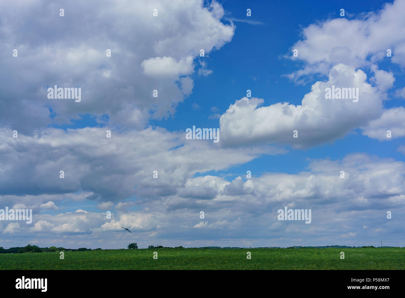 Rural landscape with blue sky and clouds near London, United Kingdom ...