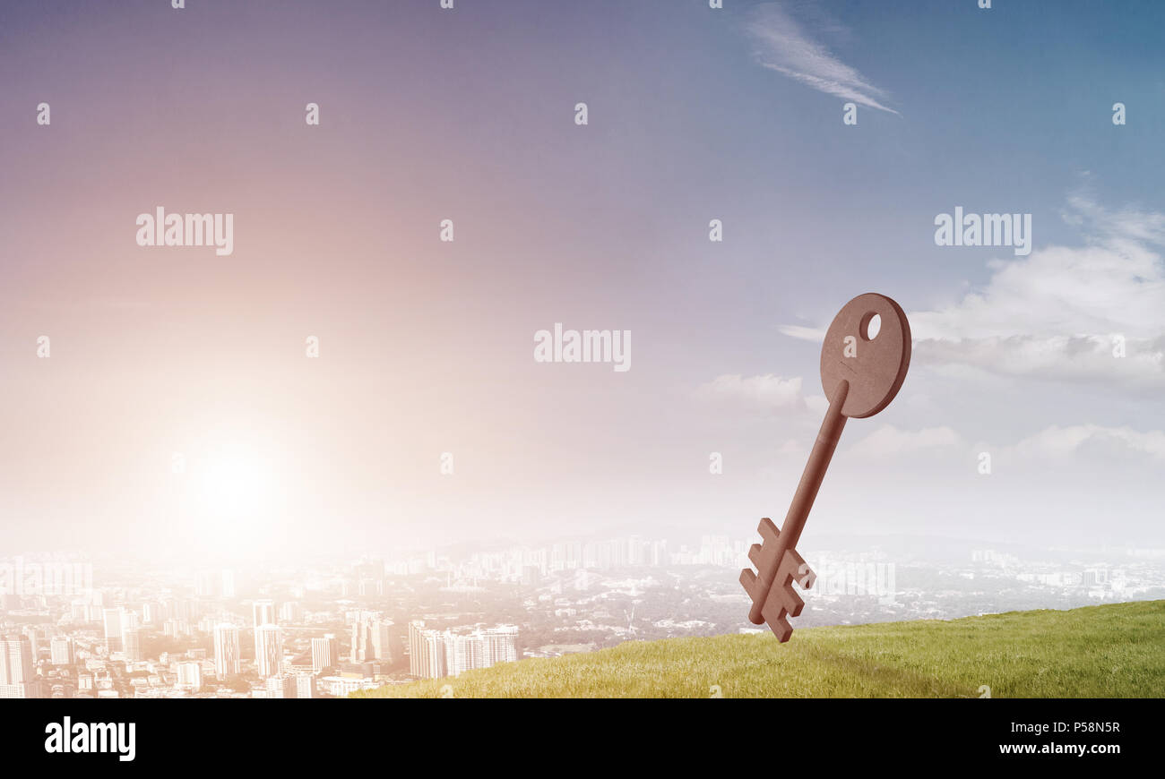 Key stone figure as symbol of access on green hill Stock Photo - Alamy