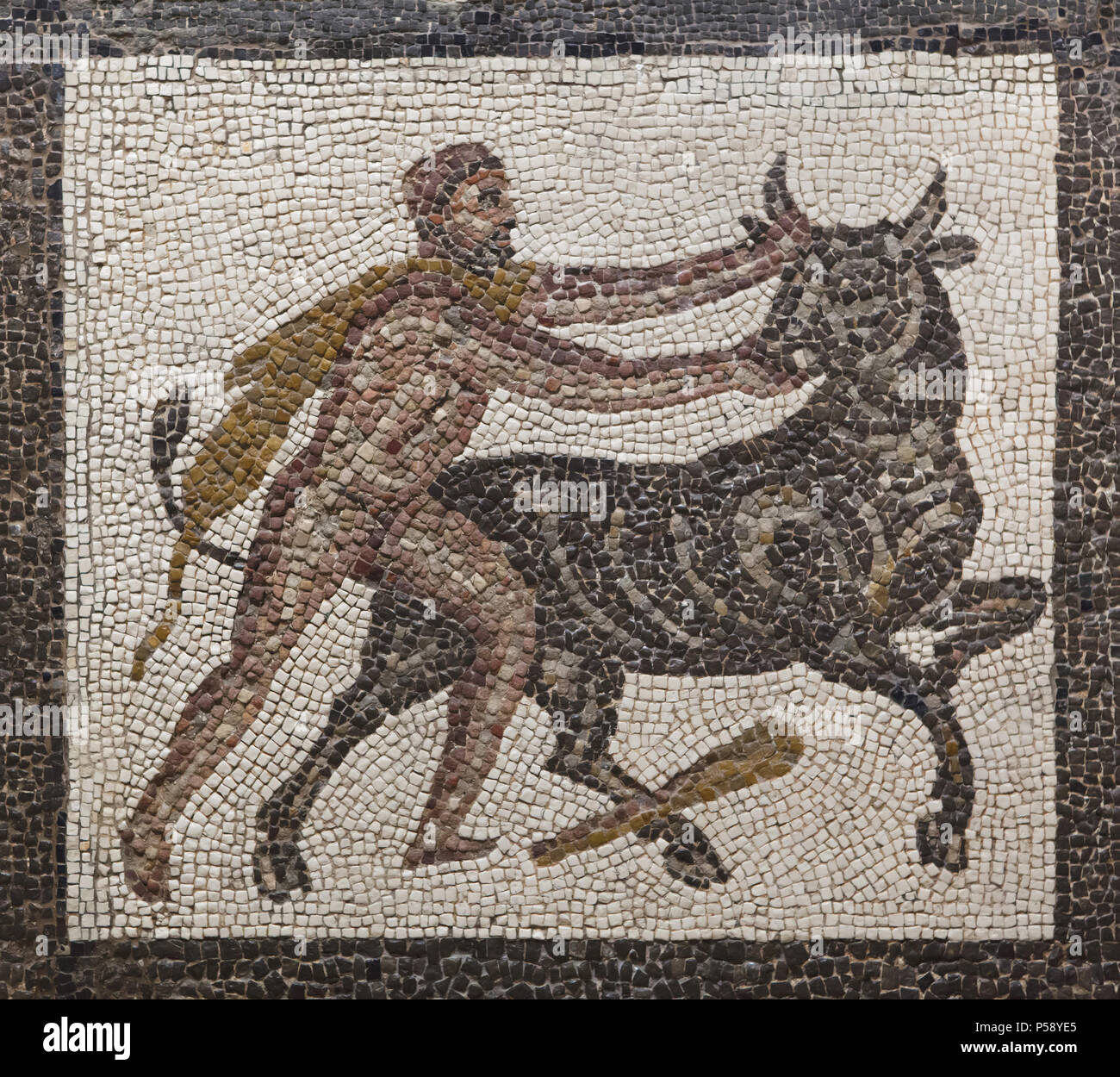 Heracles capturing the Cretan Bull. Labours of Heracles depicted in the Roman mosaic dated from the 3rd century AD from Llíria (Valencia Province, Spain) on display in the National Archaeological Museum (Museo Arqueológico Nacional) in Madrid, Spain. Stock Photo