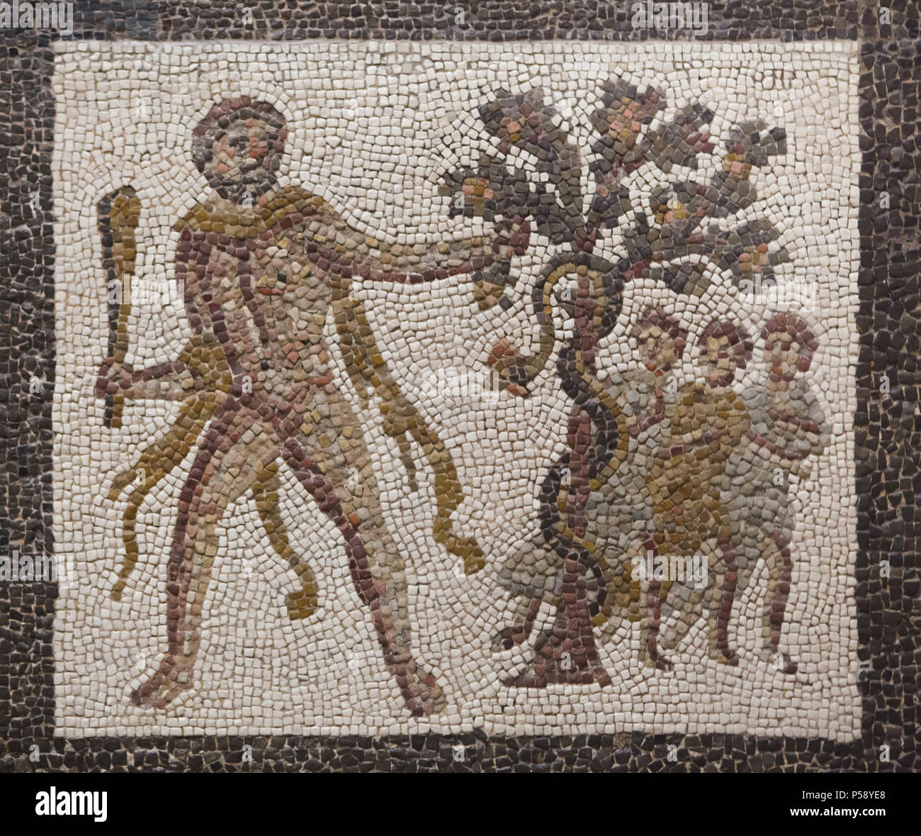 Heracles stealing the golden apples from the Garden of the Hesperides. Labours of Heracles depicted in the Roman mosaic dated from the 3rd century AD from Llíria (Valencia Province, Spain) on display in the National Archaeological Museum (Museo Arqueológico Nacional) in Madrid, Spain. Stock Photo