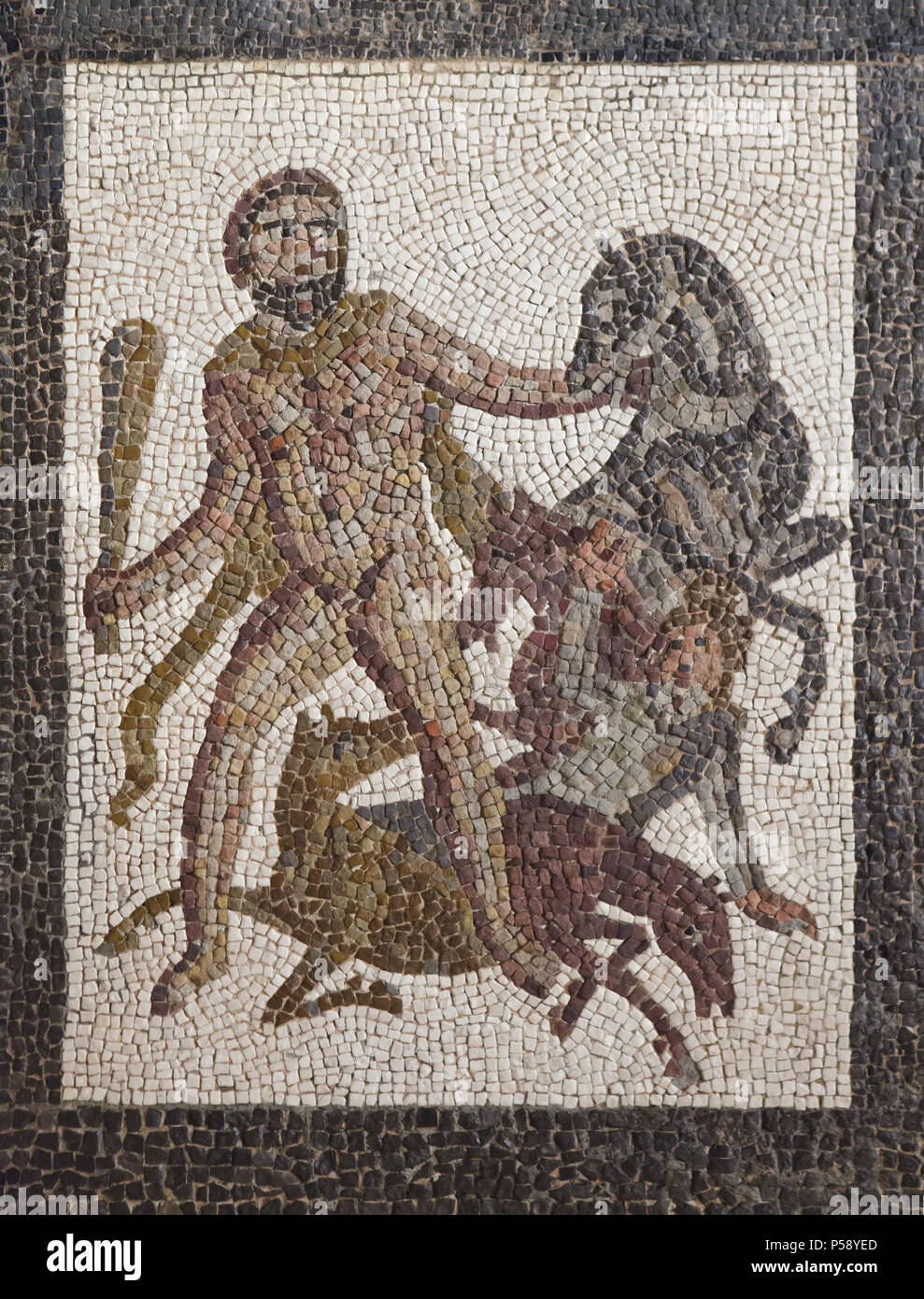 Heracles capturing the Mares of Diomedes. Labours of Heracles depicted in the Roman mosaic dated from the 3rd century AD from Llíria (Valencia Province, Spain) on display in the National Archaeological Museum (Museo Arqueológico Nacional) in Madrid, Spain. Stock Photo