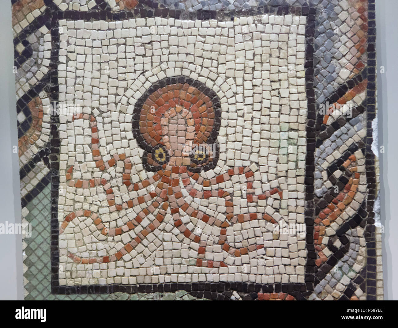 Octopus (Octopus vulgaris) depicted in the Roman mosaic dated from the 2nd or 3rd century AD from Villaquejida (León Province, Spain) on display in the National Archaeological Museum (Museo Arqueológico Nacional) in Madrid, Spain. Stock Photo