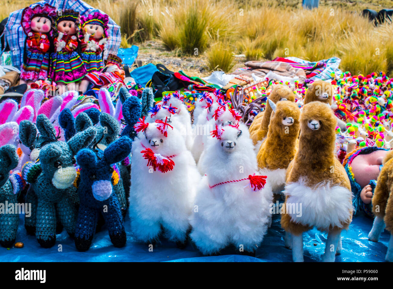 Fotos realizadas en la fiesta tradicional del chaco en la reserva nacional de pampas galeras . Stock Photo