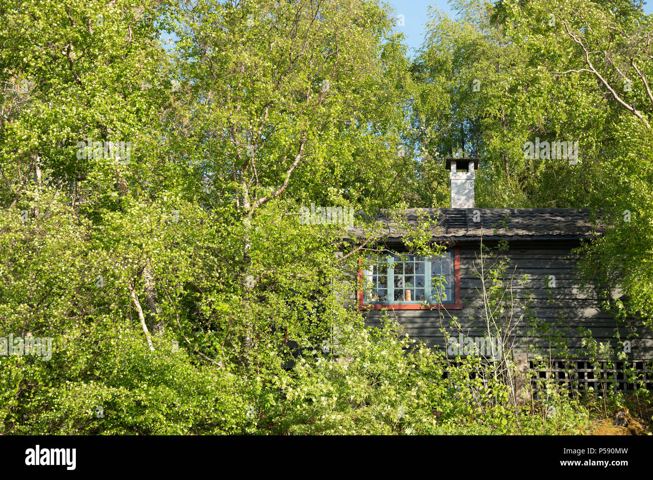 Hut in the woods, Trondheim, Norway. Stock Photo