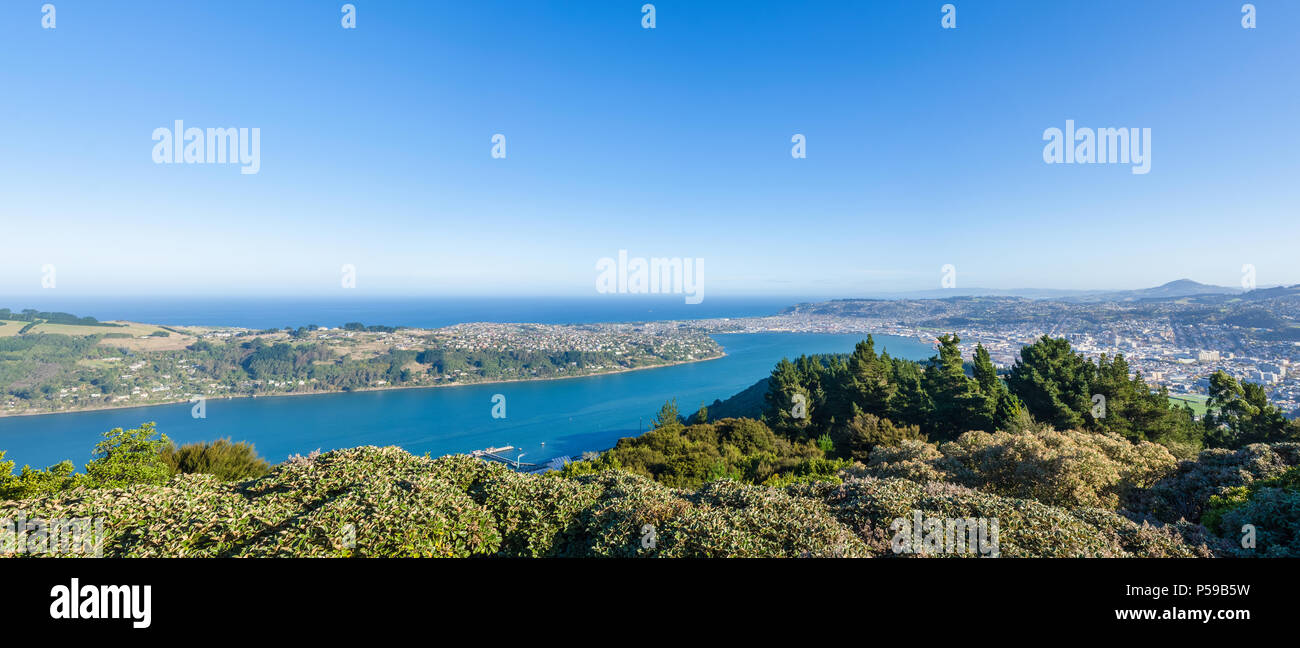 Beautiful cityscape view of the Dunedin in New Zealand. Stock Photo