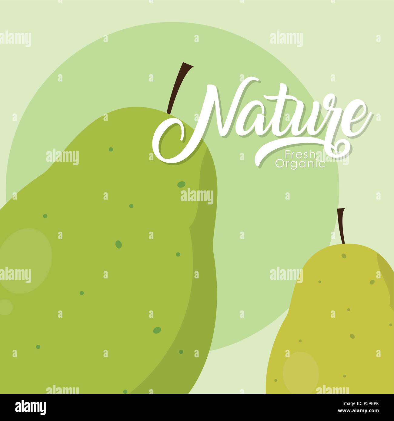 Pears fresh and organic fruit vector illustration graphic design Stock ...
