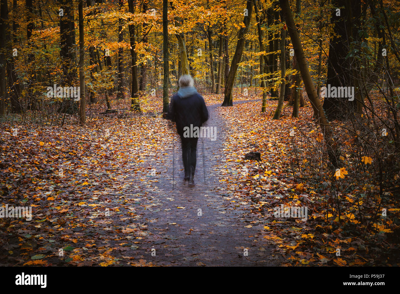 Ghostly hike figure in autumnal square, autumn forest landscape, trees with yellow leaves and alleys. Stock Photo
