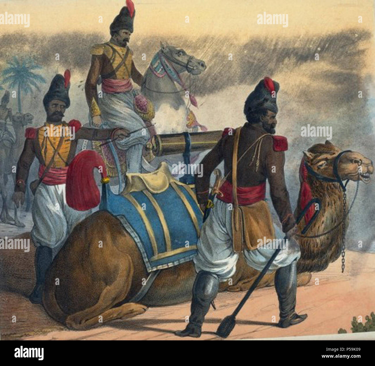 1811 Persian Zembouraki Camel Artillery Stock Photo - Alamy