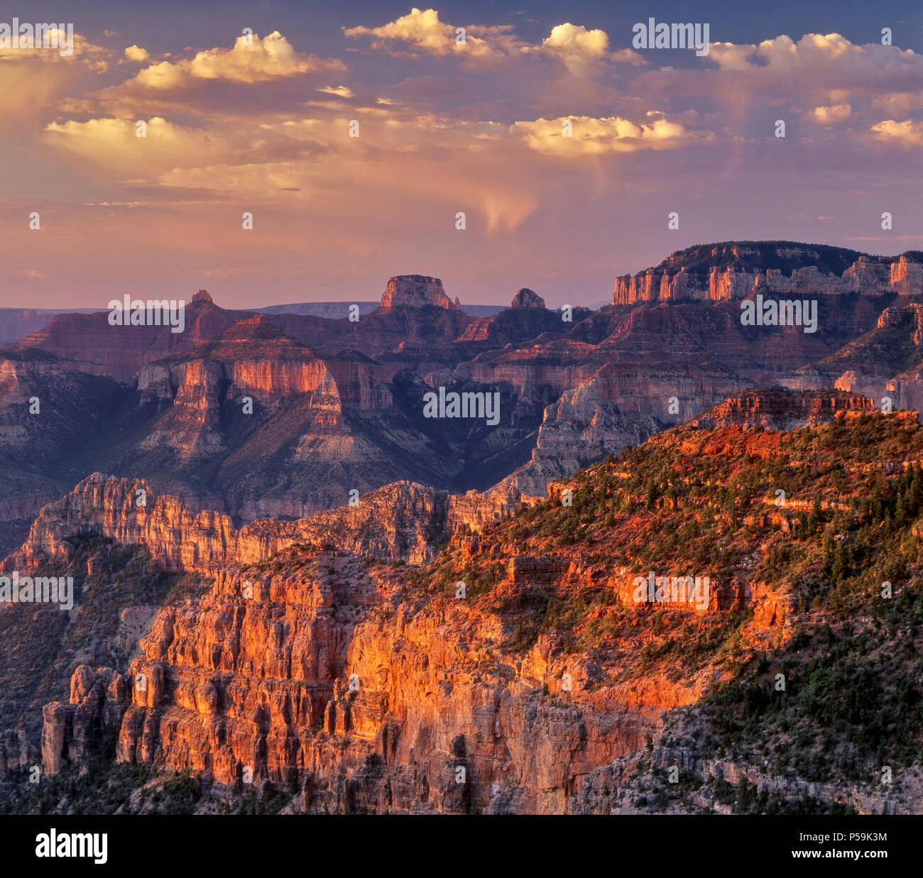 Sunrise, Nankoweap Canyon, Grand Canyon National Park, Arizona Stock Photo