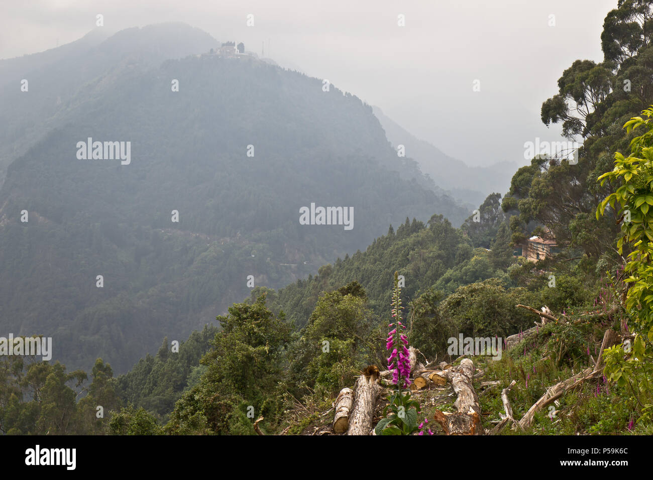 View from mountain Monserrate, Bogota, Colombia Stock Photo