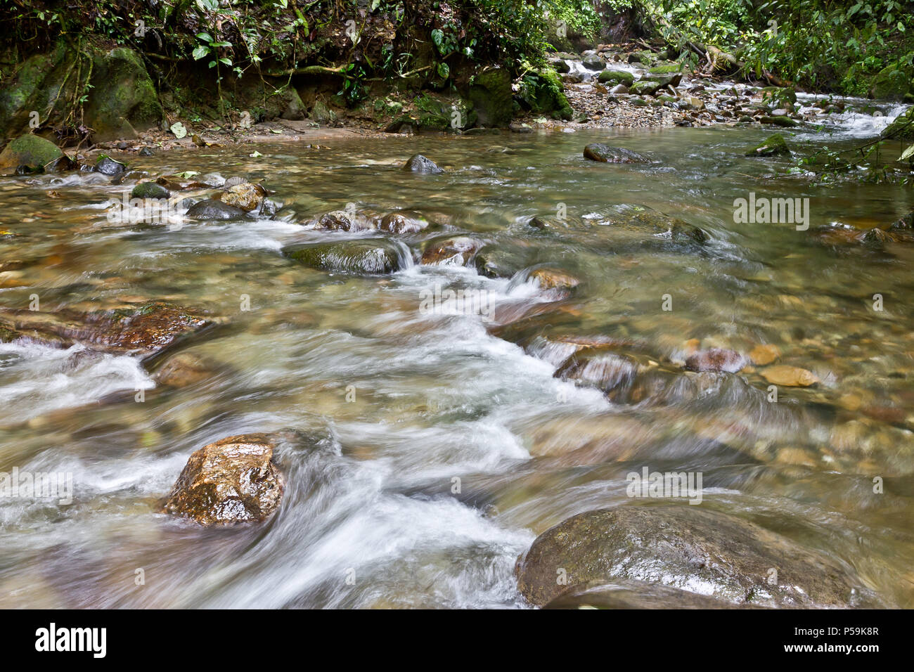 River in Colombia Stock Photo Alamy