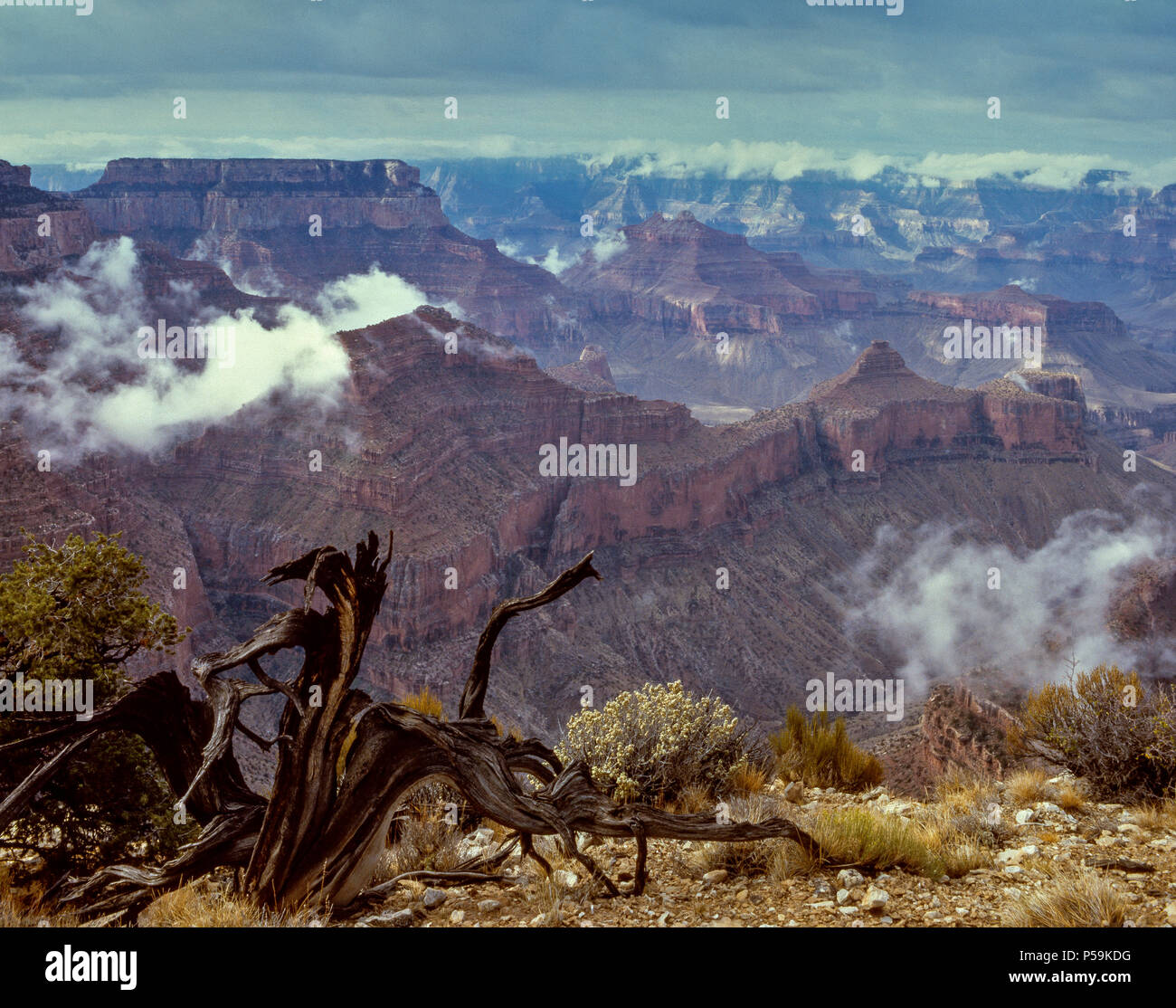Clearing Storm, Matthes Point, Grand Canyon National Park, Arizona Stock Photo