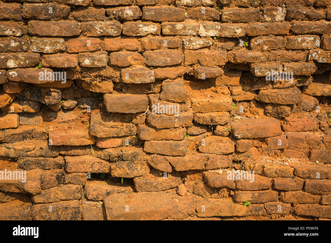 Old brick wall on Sri Lanka Stock Photo Alamy