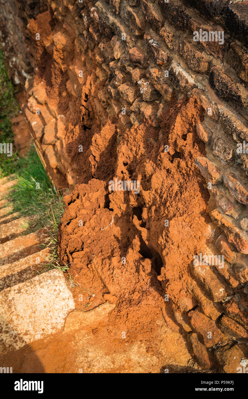 Sri lanka stone brick construction hires stock photography and images