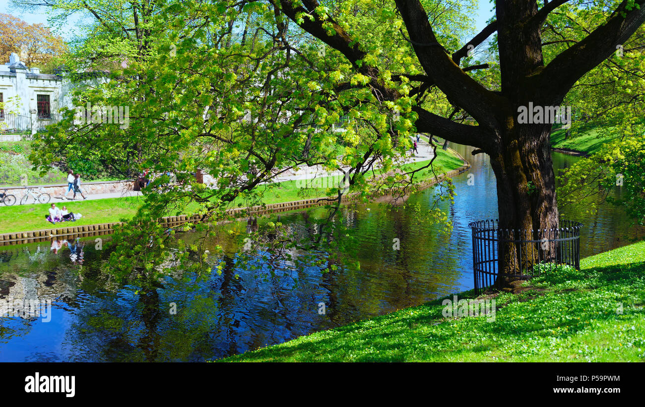 Woman background spring landscape hi-res stock photography and images ...