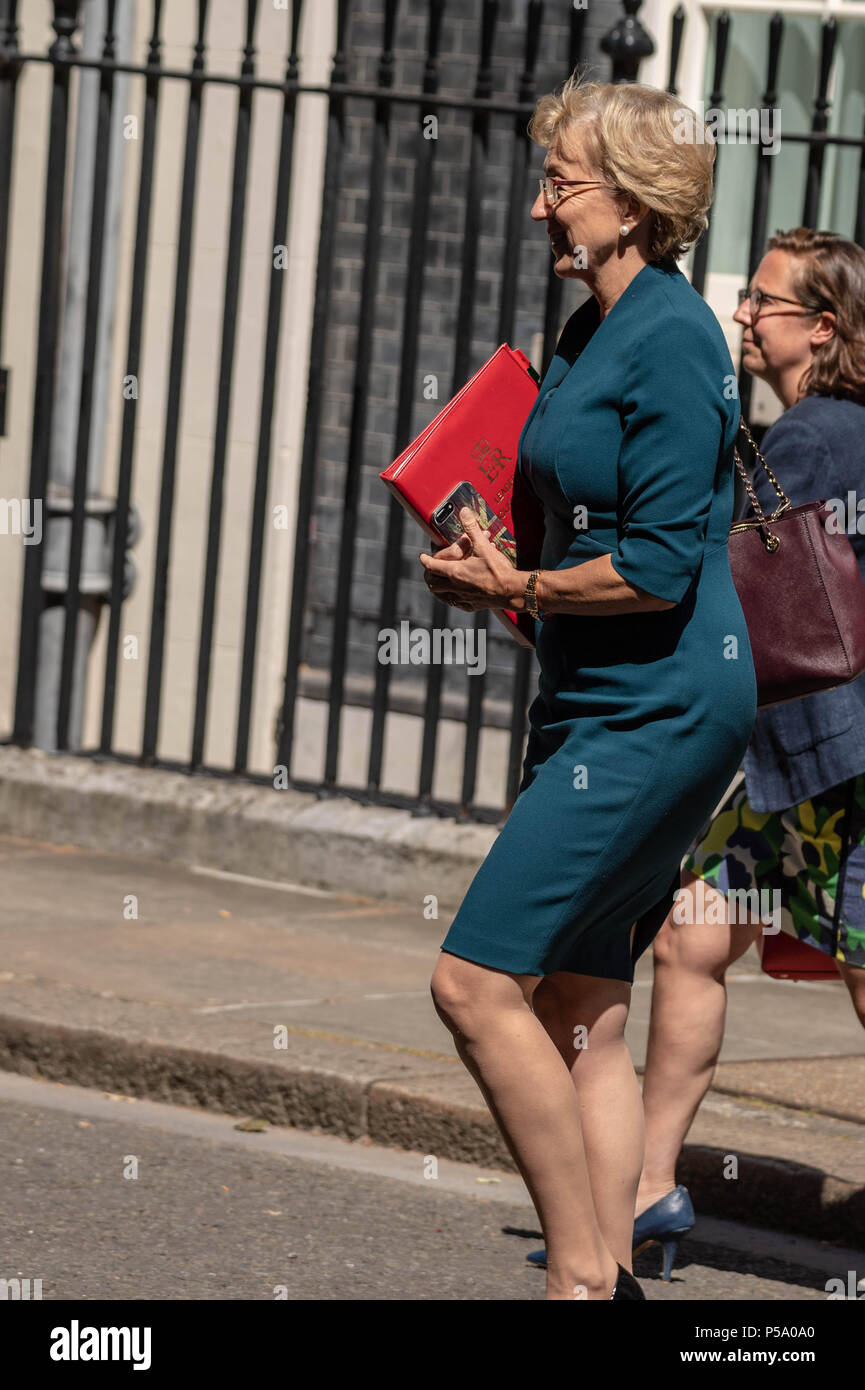 London  26 June 2018, Andrea Leadsom MP PC, Leader of the House of Commons,, leaves Cabinet meeting at 10 Downing Street, London Credit Ian Davidson/Alamy Live News Stock Photo